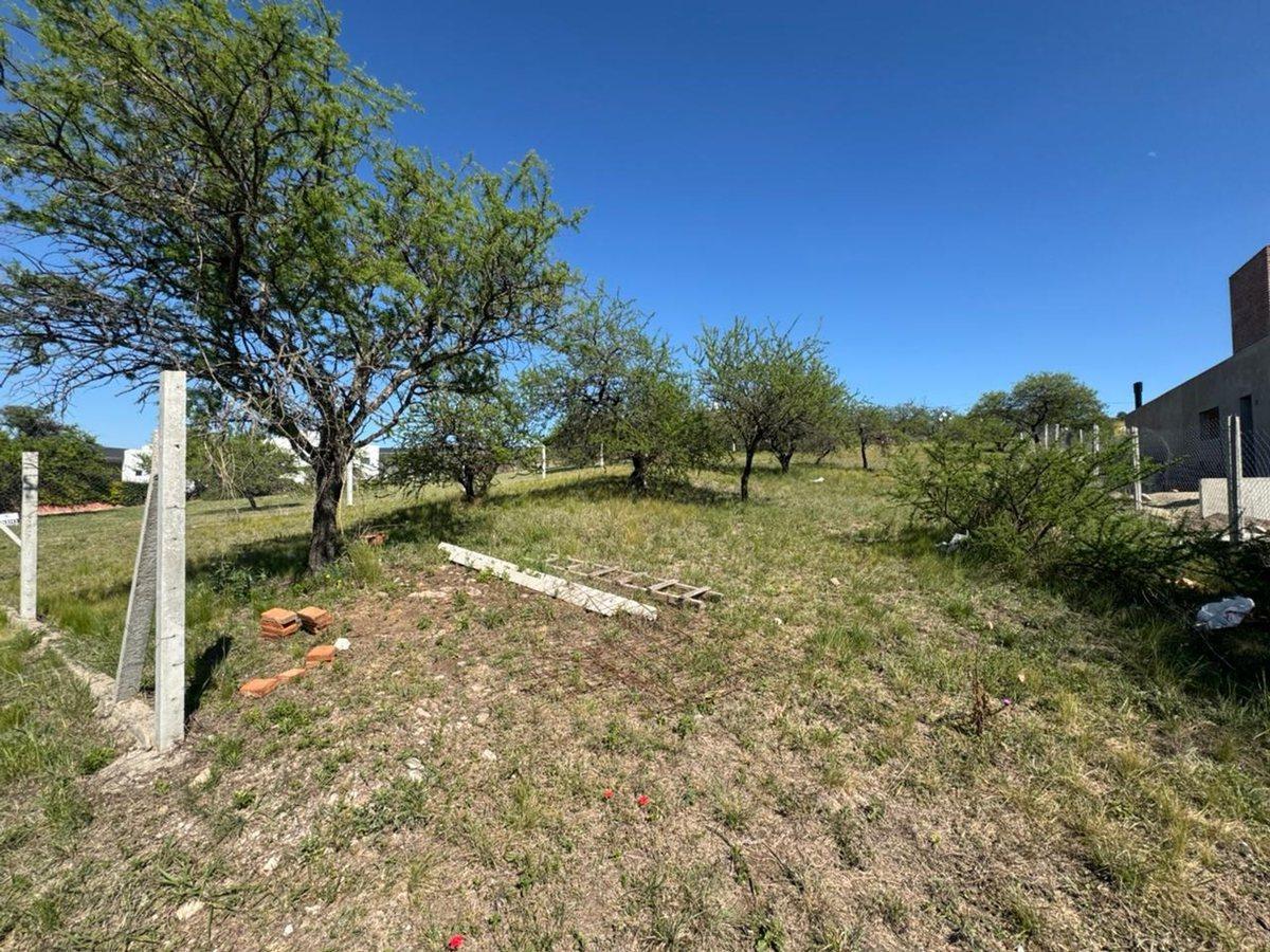Foto de VENTA TERRENO LOTE 1264 mts2 LA ARBOLADA MALAGUEÑO, imagen 3