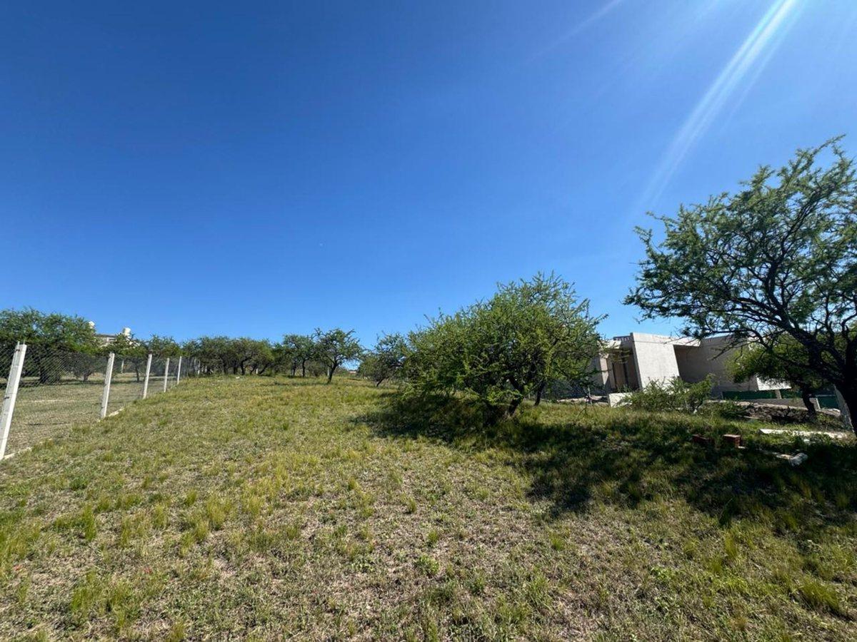 Foto de VENTA TERRENO LOTE 1264 mts2 LA ARBOLADA MALAGUEÑO, imagen 1