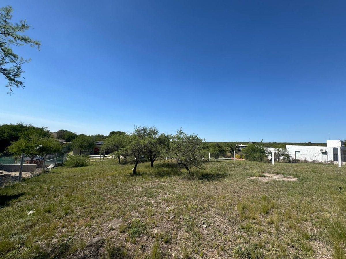 Foto de VENTA TERRENO LOTE 1264 mts2 LA ARBOLADA MALAGUEÑO, imagen 2