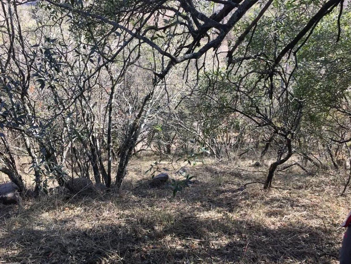Foto de VENTA LOTE B CON SEG MENDIOLAZA SIERRA NUEVA, imagen 5