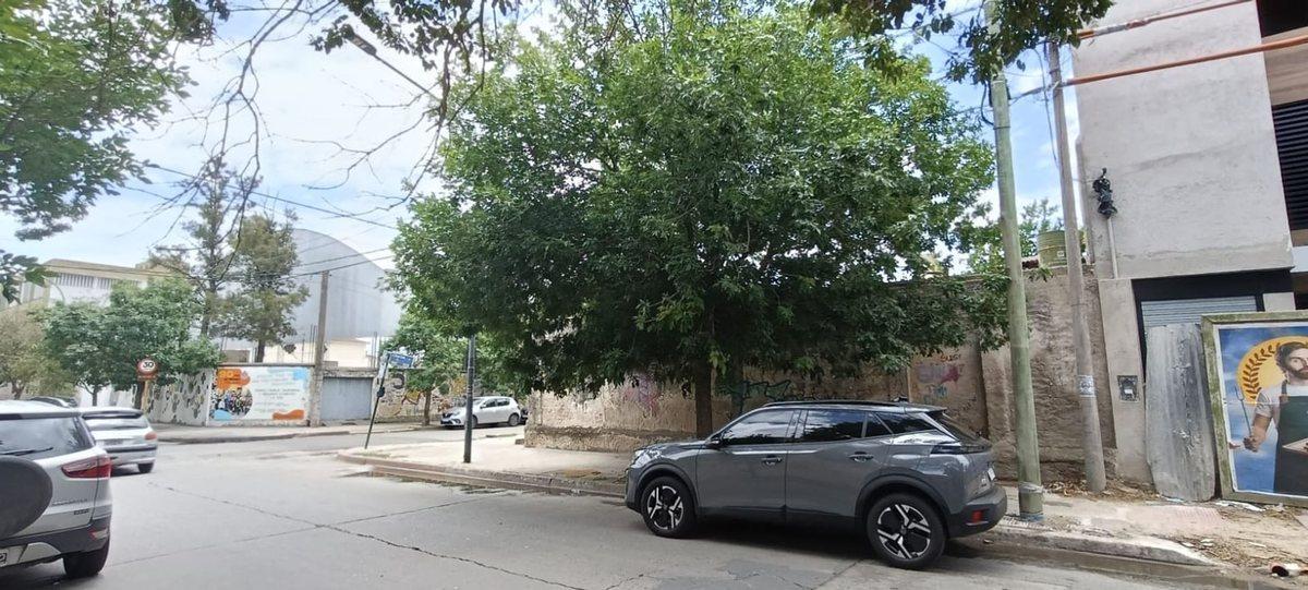 Foto de VENTA LOTE GENERAL PUEYRREDON IDEAL DESARROLLO, imagen 2