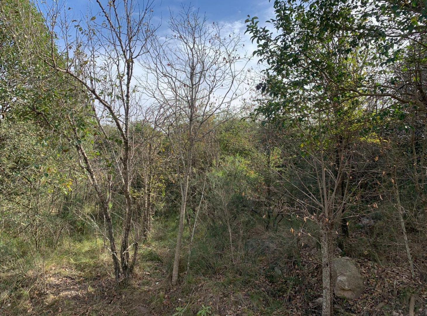 Foto de TERRENO EN VENTA EN CASA GRANDE CORDOBA, imagen 1