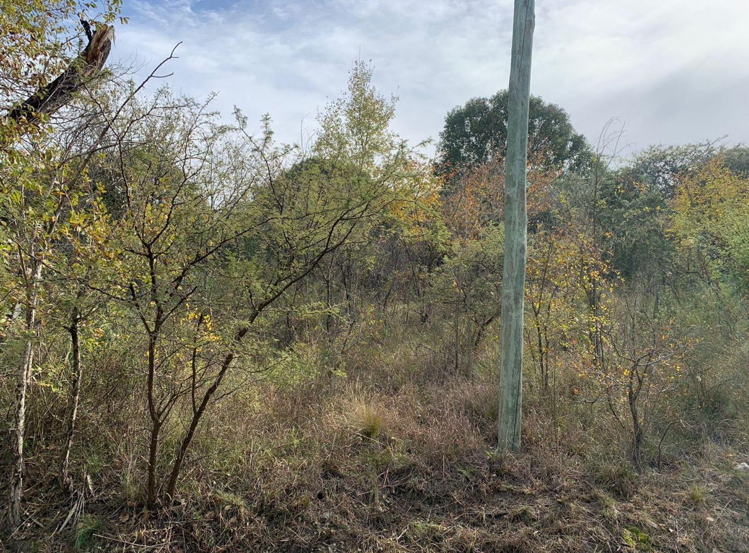 Foto de TERRENO EN VENTA EN CASA GRANDE CORDOBA, imagen 3