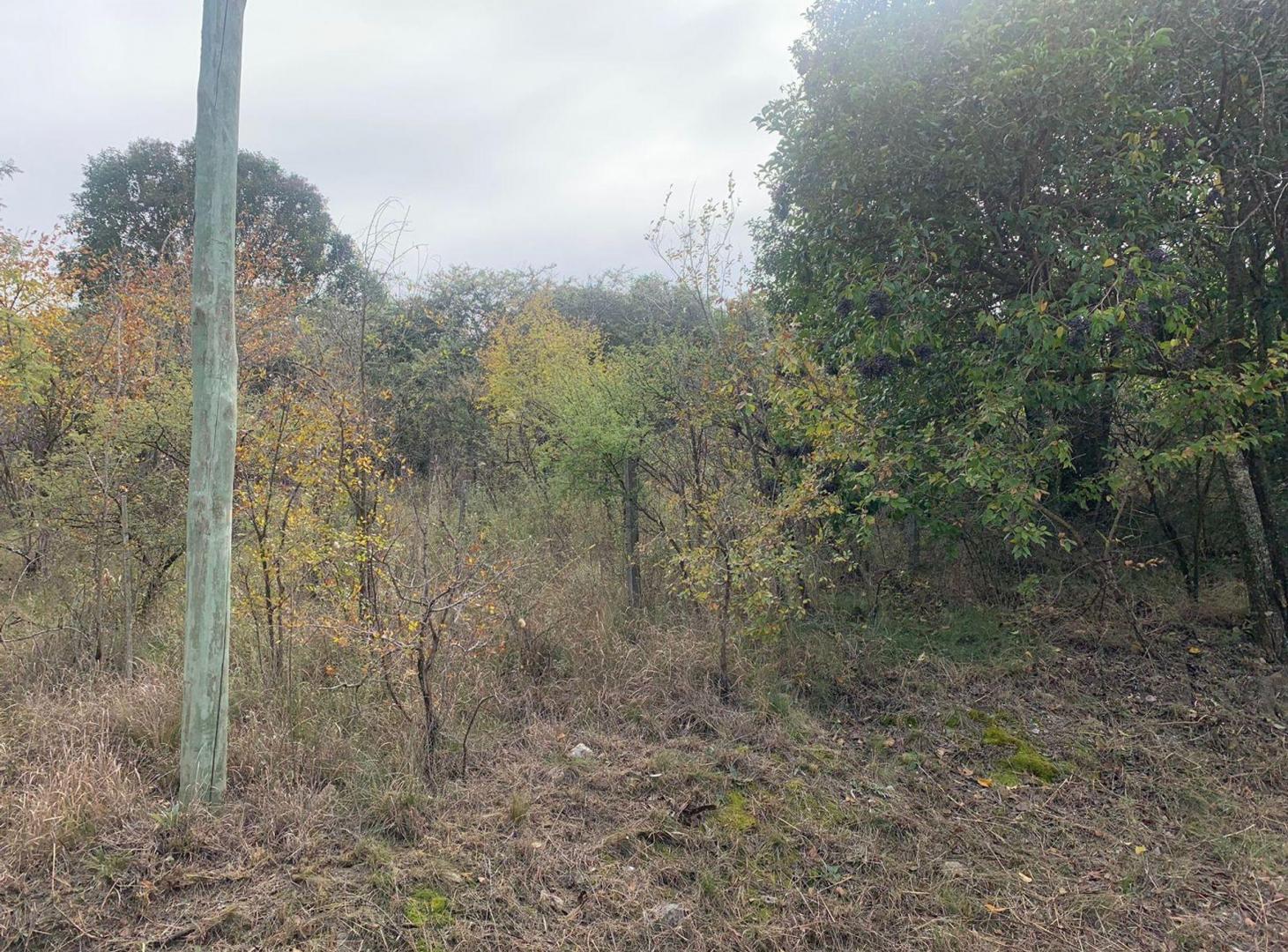 Foto de TERRENO EN VENTA EN CASA GRANDE CORDOBA, imagen 5