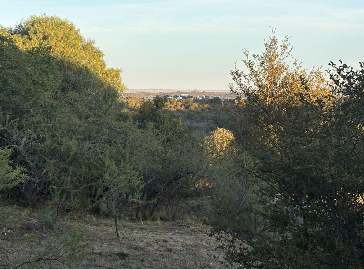 Foto de TERRENO EN VENTA EN TIERRA ALTA 806 M2 MALAGUEÑO, imagen 2