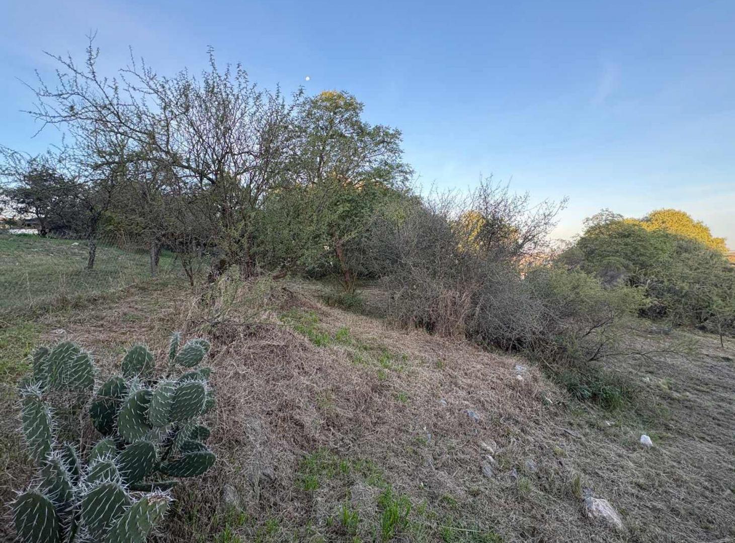 Foto de TERRENO EN VENTA EN TIERRA ALTA 806 M2 MALAGUEÑO, imagen 1