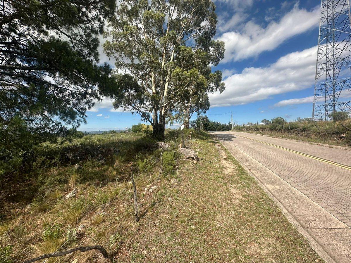 Foto de VENTA LOTE 1.5HA EN SAN CLEMENTE SOBRE RUTA C/RIO, imagen 5