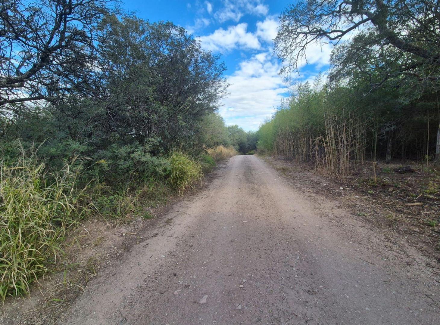 Foto de VENTA LOTE 3350M M2 COLINAS DE LA GRANJA, imagen 5