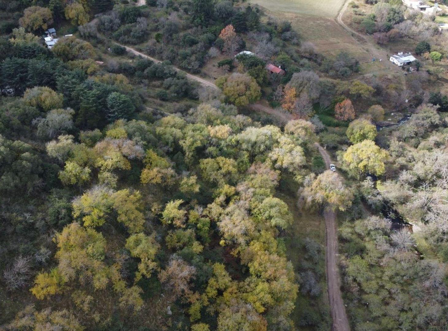 Foto de VENTA CAMPO 10 HECTAREAS COLANCHANGA, imagen 4