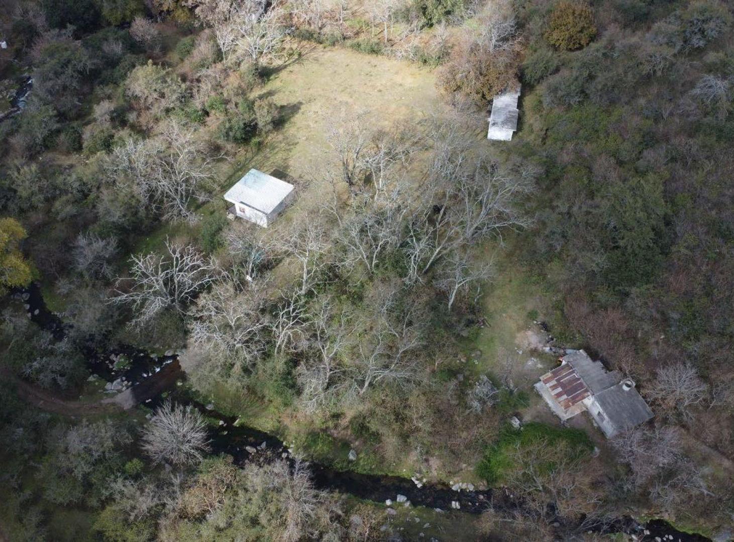 Foto de VENTA CAMPO 10 HECTAREAS COLANCHANGA, imagen 5