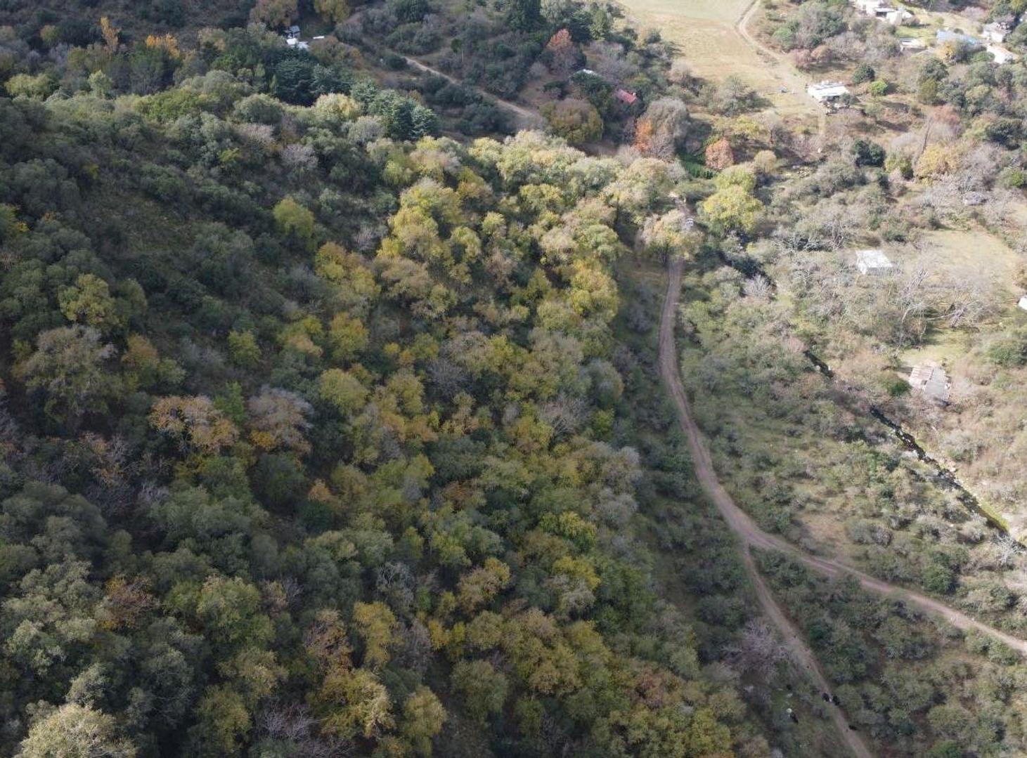 Foto de VENTA CAMPO 10 HECTAREAS COLANCHANGA, imagen 1