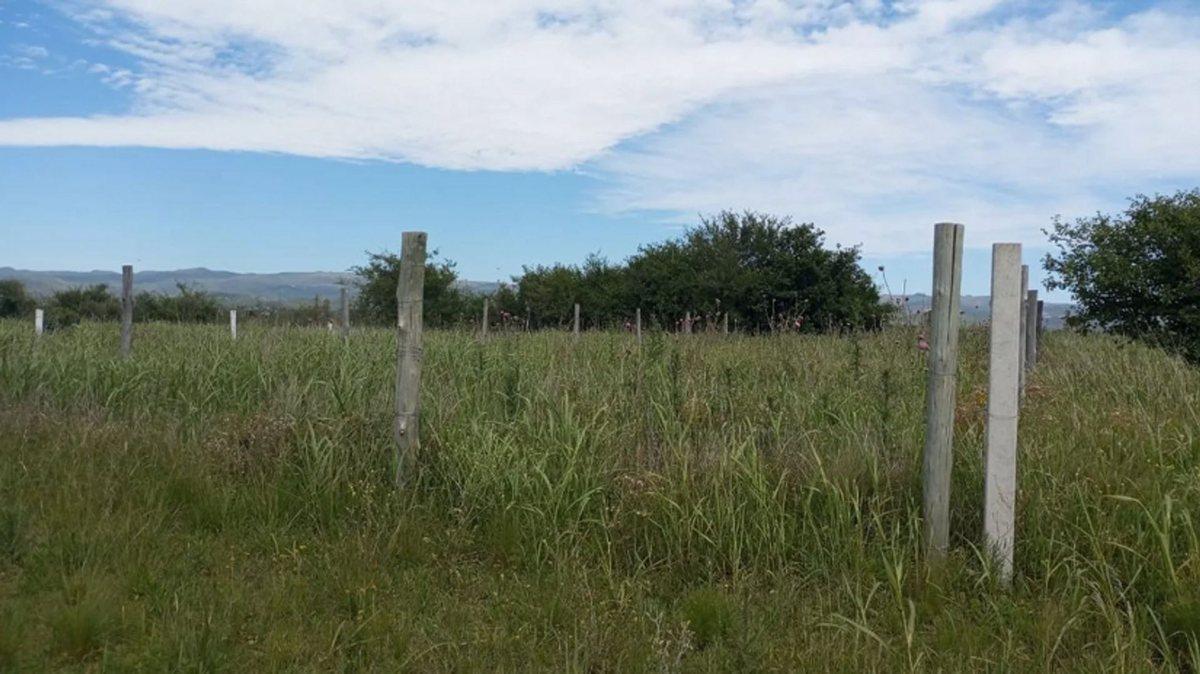 Foto de VENTA TERRENO 480M2 VILLA DEL PRADO ESCRITURA, imagen 3