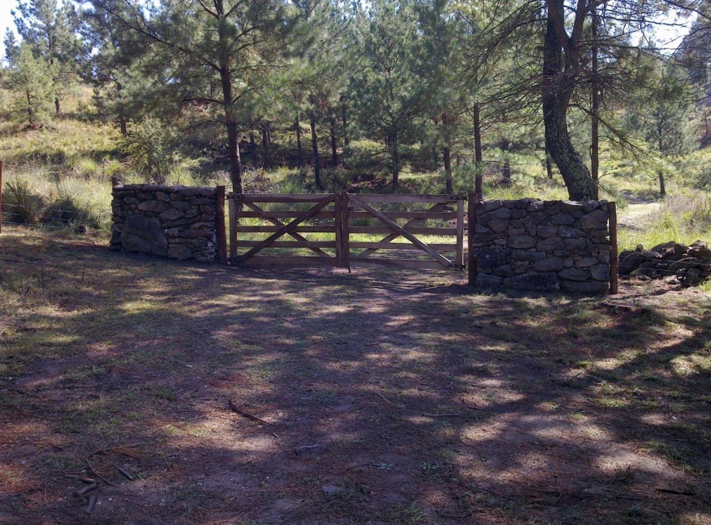 Foto de venta 3 Hectáreas con Arroyo en El Durazno Calamuc, imagen 1