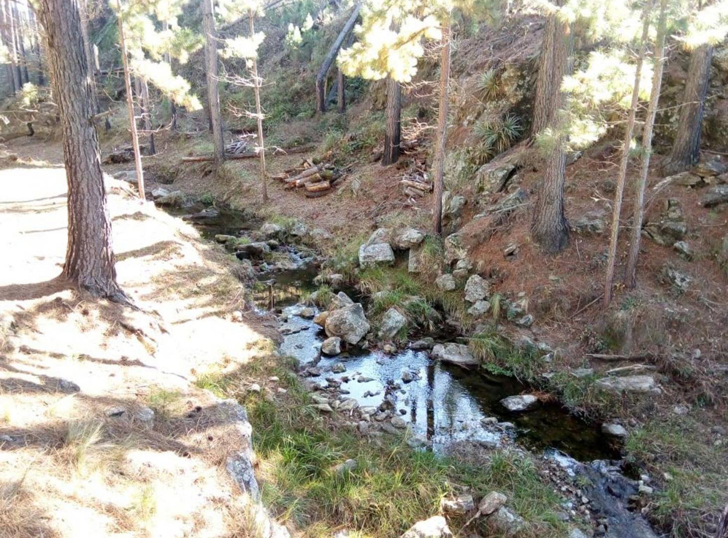venta 3 Hectáreas con Arroyo en El Durazno Calamuc