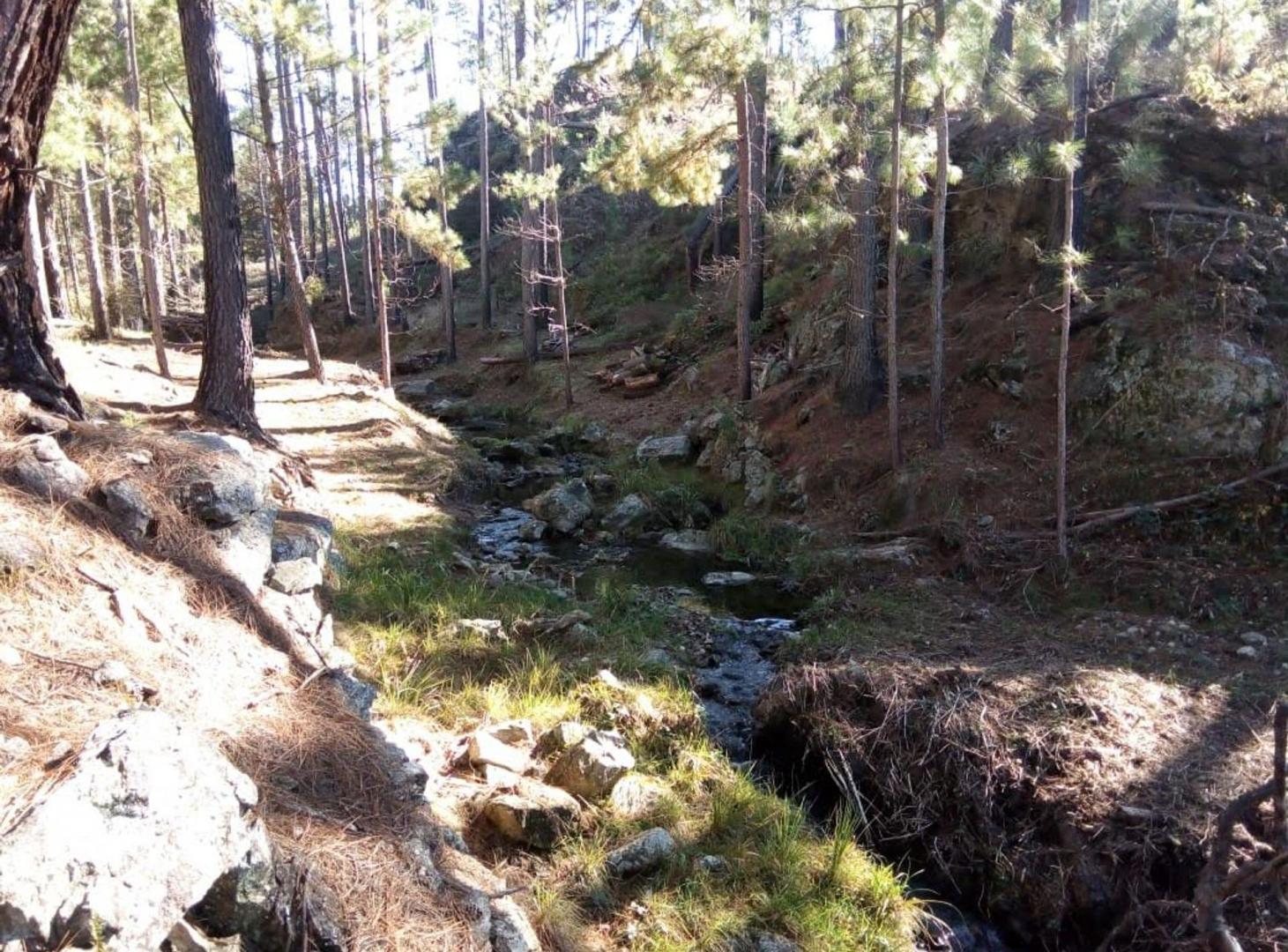 Foto de venta 3 Hectáreas con Arroyo en El Durazno Calamuc, imagen 5
