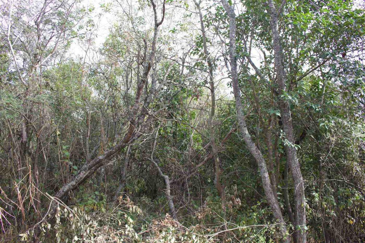 Foto de VENTA TERRENO 480M2 VILLA PAN DE AZUCAR COSQUIN, imagen 2