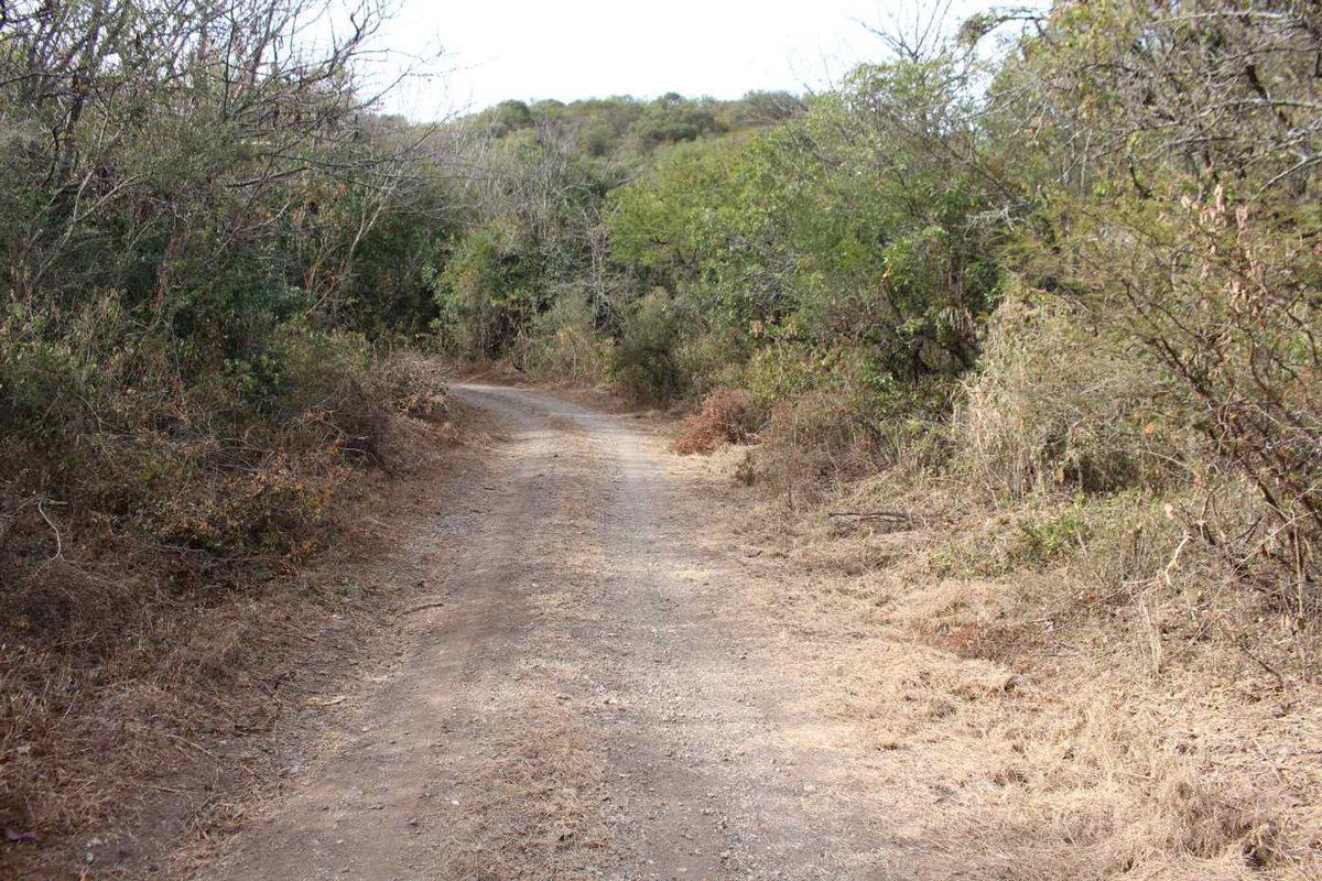 Foto de VENTA TERRENO 480M2 VILLA PAN DE AZUCAR COSQUIN, imagen 4
