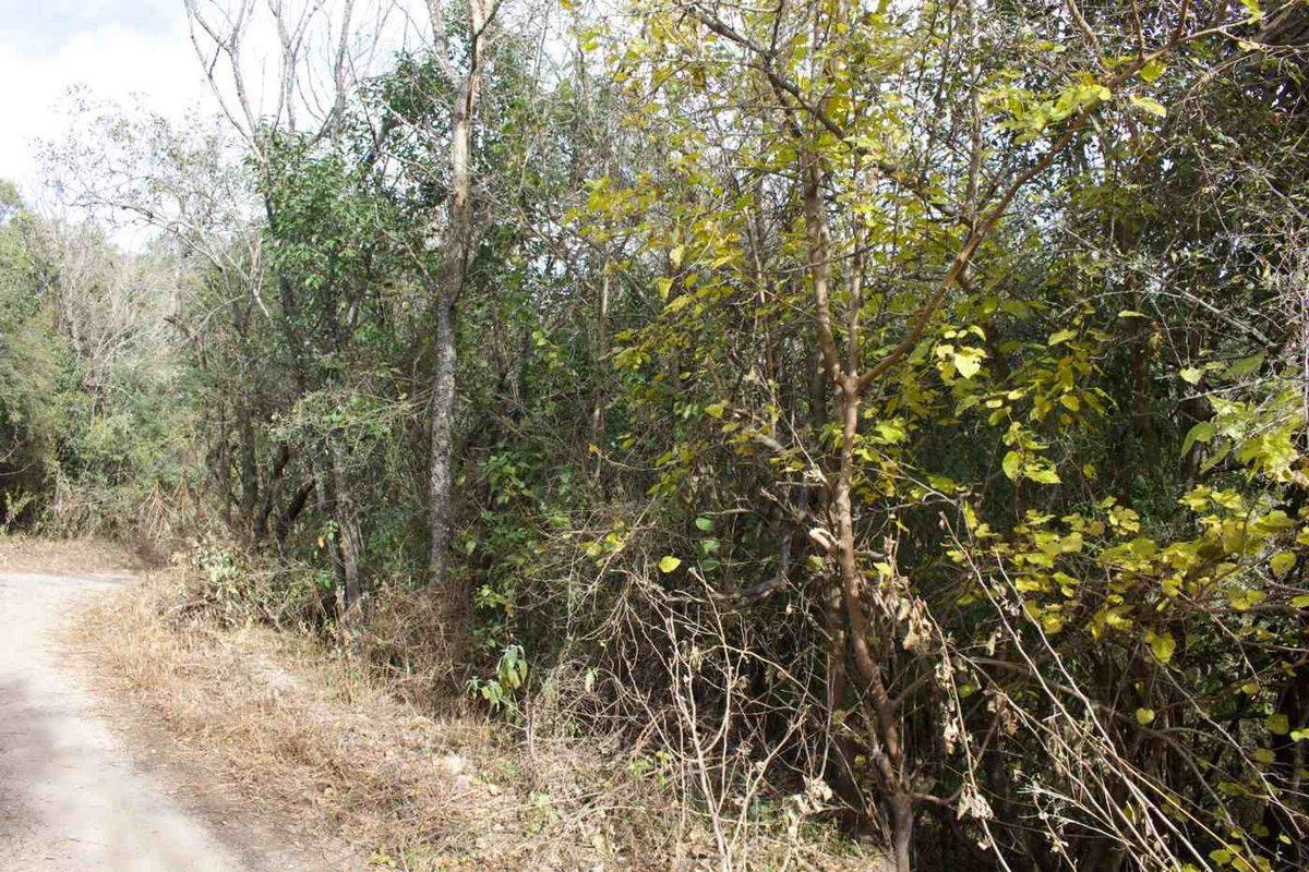 Foto de VENTA TERRENO 392M2 VILLA PAN DE AZUCAR COSQUIN, imagen 1