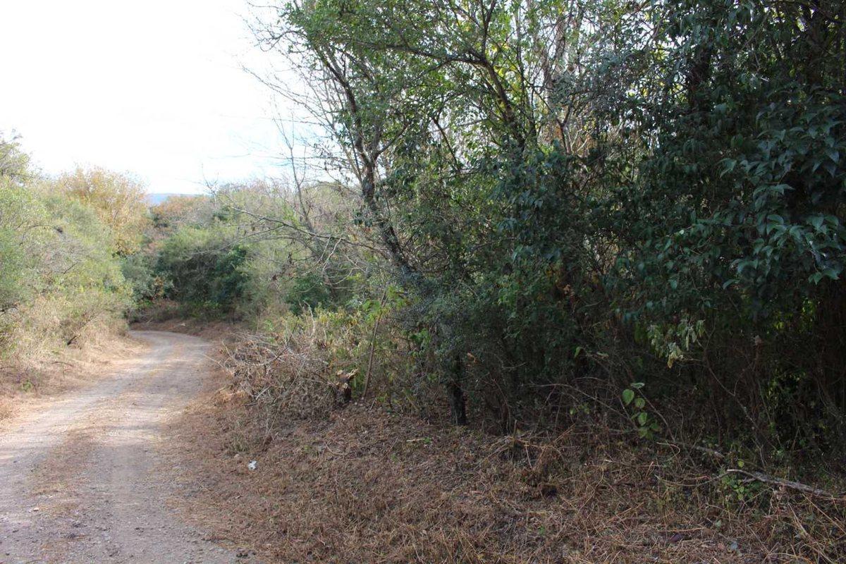 Foto de VENTA TERRENO 392M2 VILLA PAN DE AZUCAR COSQUIN, imagen 2