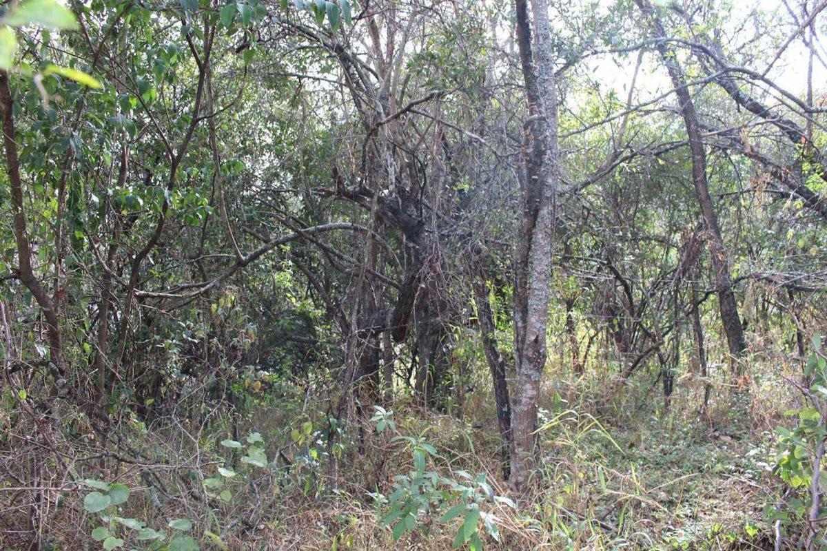 Foto de VENTA TERRENO 392M2 VILLA PAN DE AZUCAR COSQUIN, imagen 5