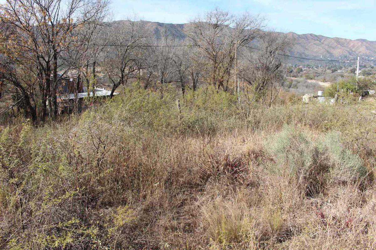 Foto de VENTA TERRENO 517 M2 EN BIALET MASSE A MTS DE RIO, imagen 5