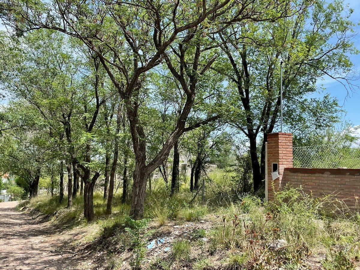 Foto de VENTA TERRENO 517 M2 EN BIALET MASSE A MTS DE RIO, imagen 3
