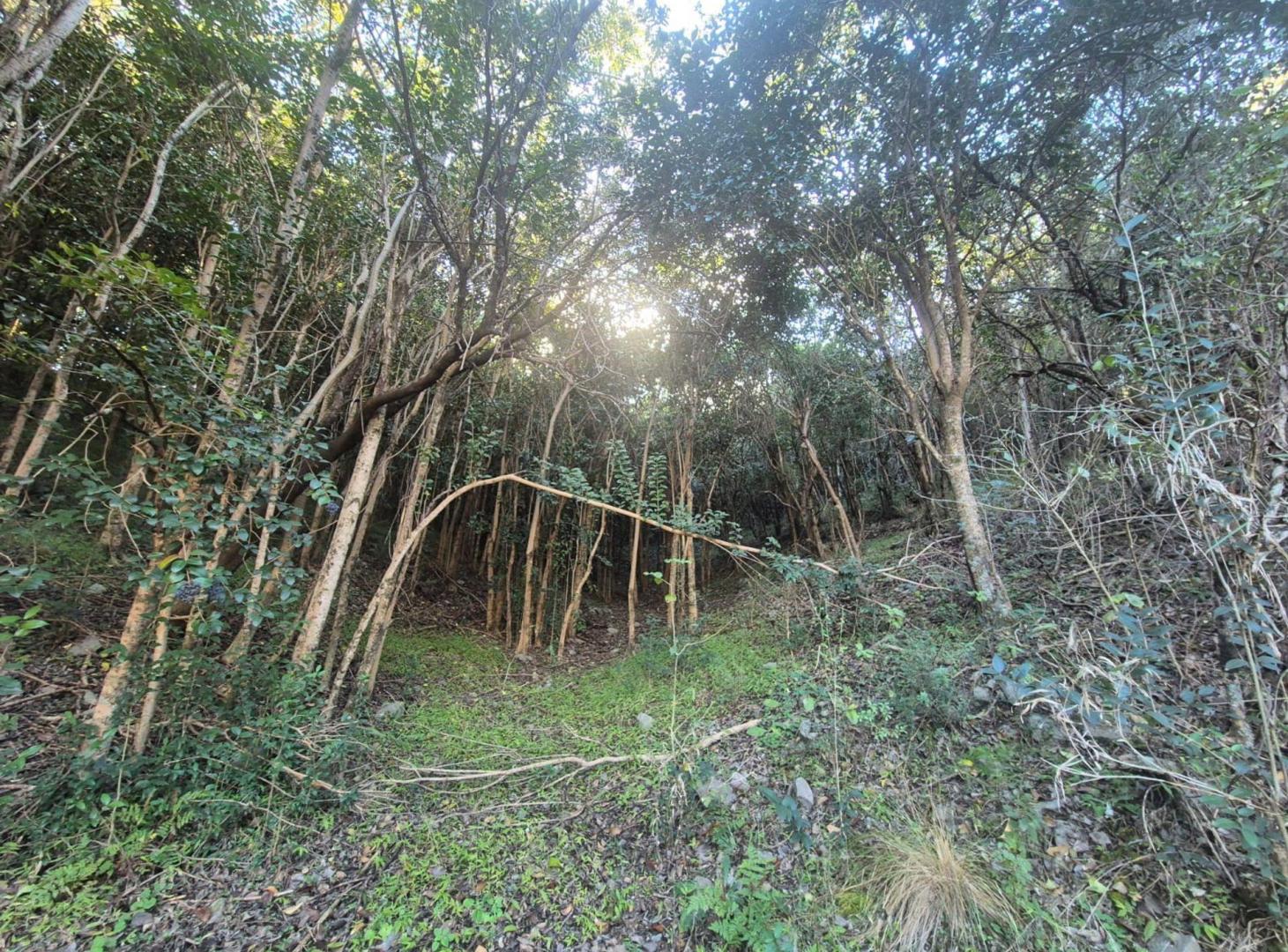 Foto de VENTA LOTE 5379M2 FINANC CORR DE BARRANCA UNQUILLO, imagen 3