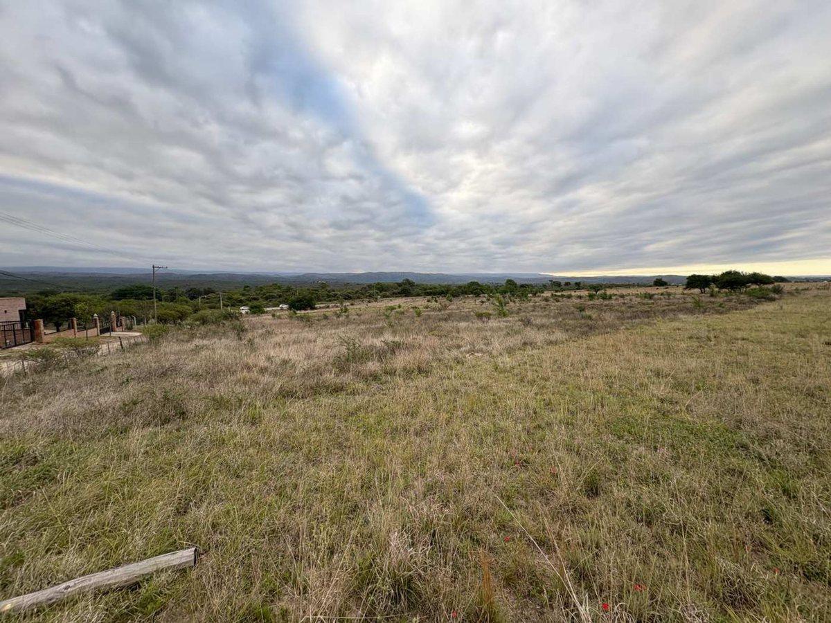 Foto de TERRENO 5559 M2 EN VENTA SAN ANTONIO DE ARREDONDO, imagen 3