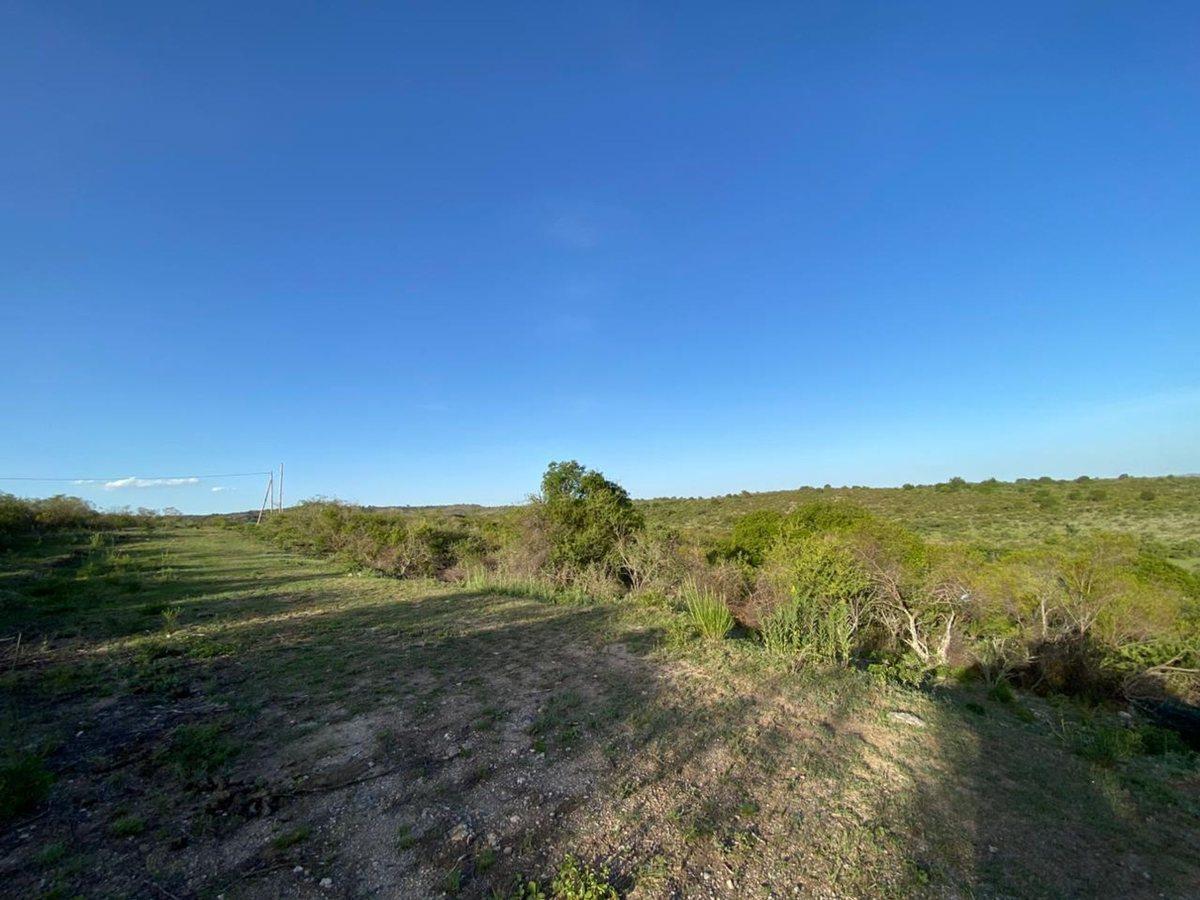 Foto de LOTES EN TANTI FLOR SERRANA CON VISTAS, imagen 1