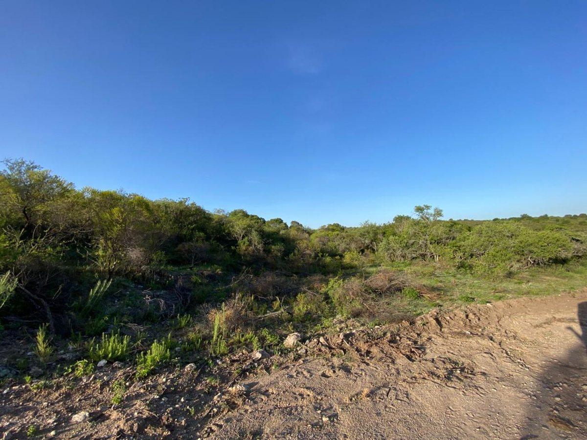 Foto de LOTES EN TANTI FLOR SERRANA CON VISTAS, imagen 5
