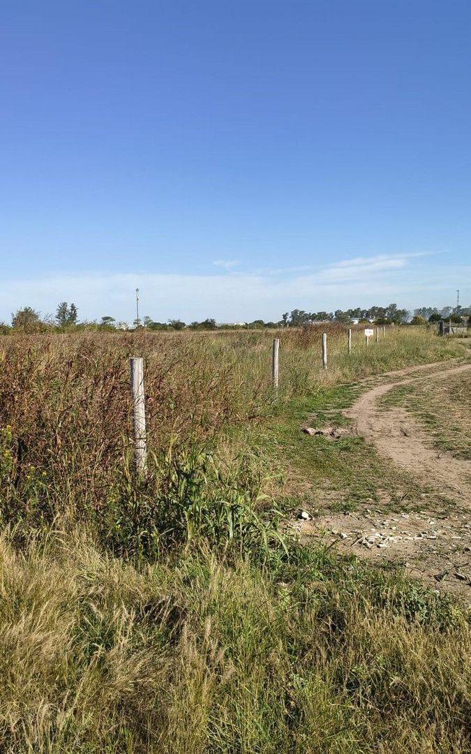 Foto de VENTA LOTE INDUSTRIAL - 5011 m2 MALVINAS ARG, imagen 3