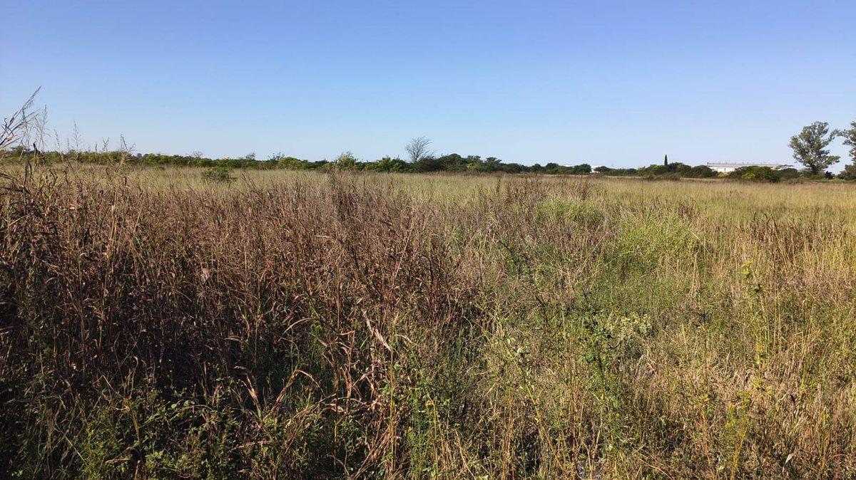 Foto de VENTA TERRENO MALVINAS ARGENTINAS - 6591 M2, imagen 5