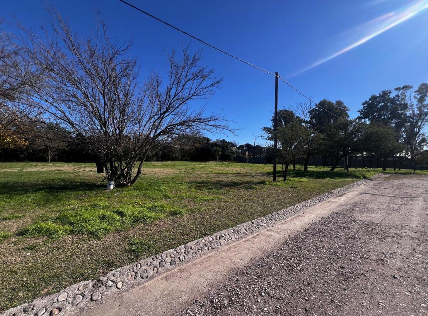 Foto de VENTA LOTE 875 M2 OFRECE FINANCIAMNIENTO COLONIA T, imagen 2