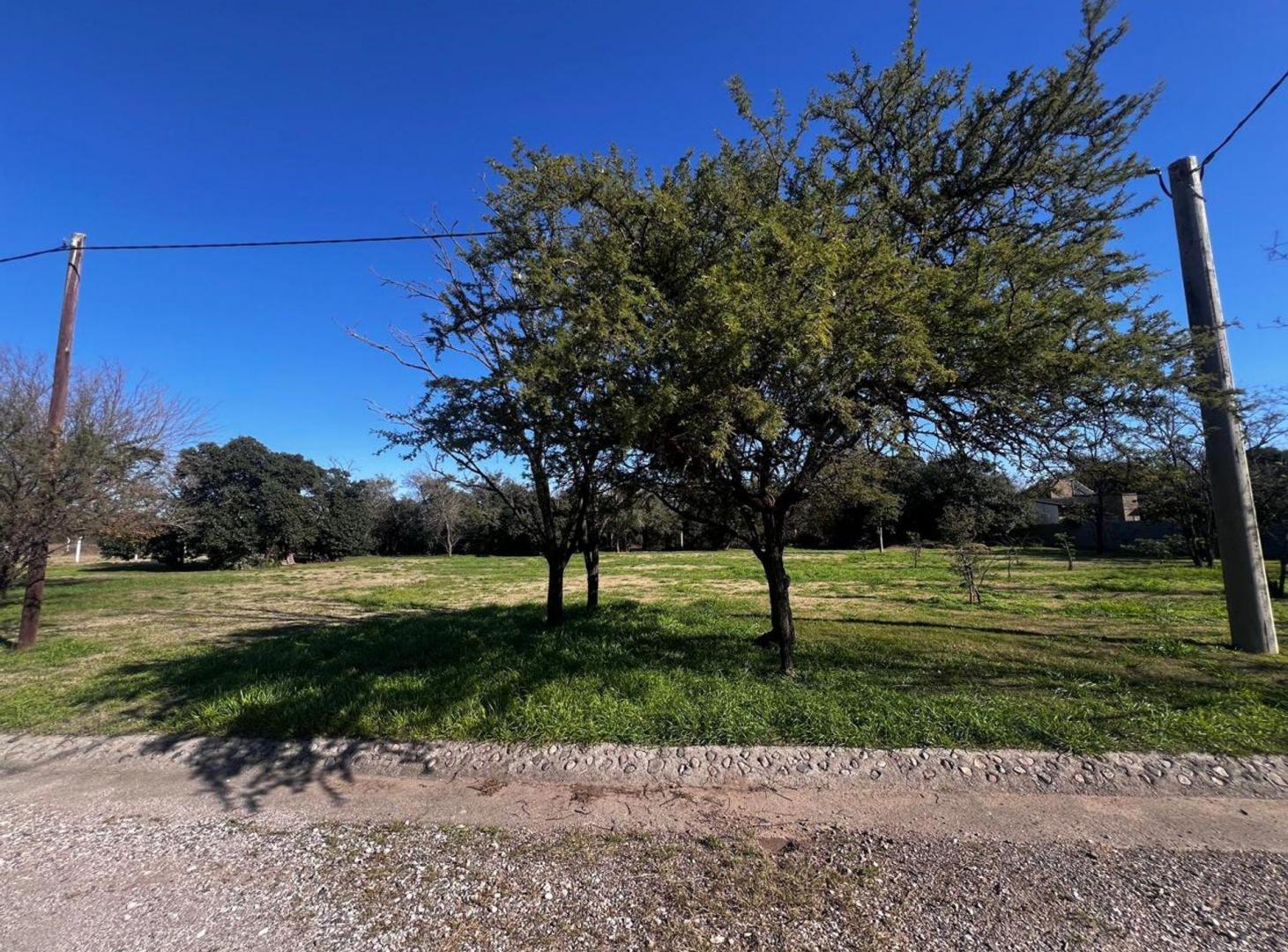 Foto de VENTA LOTE 875 M2 OFRECE FINANCIAMNIENTO COLONIA T, imagen 1