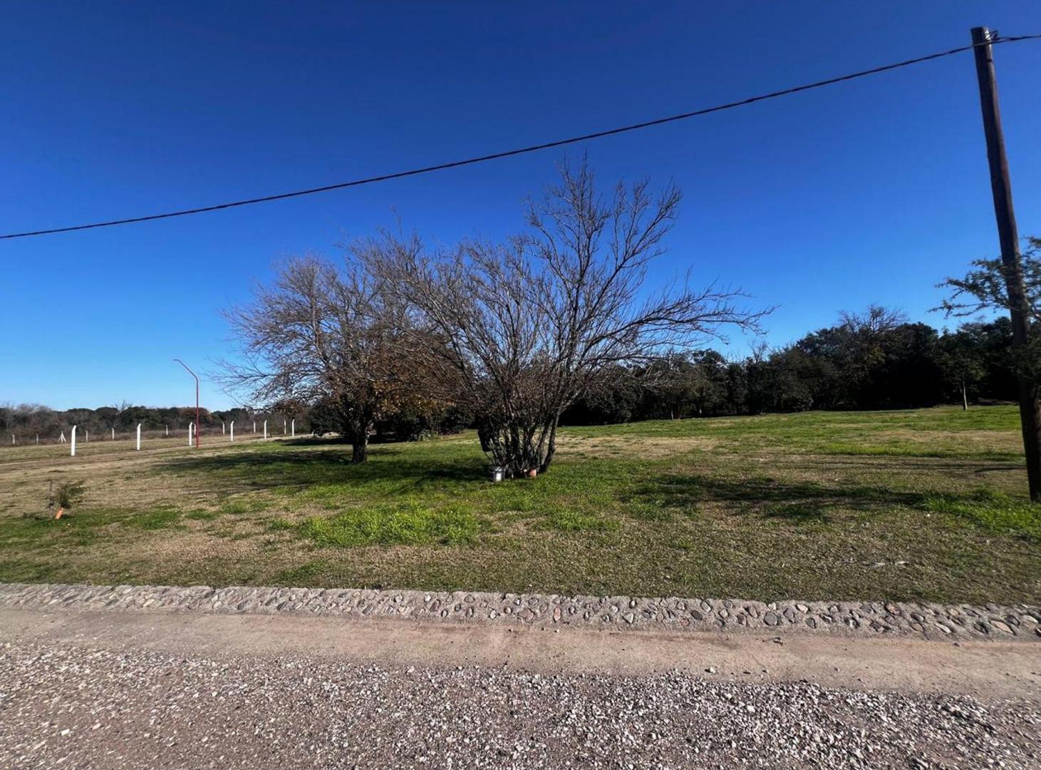 Foto de VENTA LOTE 875 M2 OFRECE FINANCIAMNIENTO COLONIA T, imagen 3