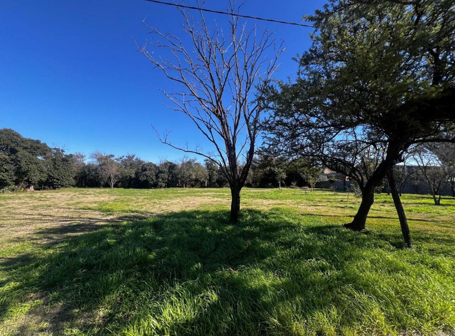Foto de VENTA LOTE 875 M2 OFRECE FINANCIAMNIENTO COLONIA T, imagen 5