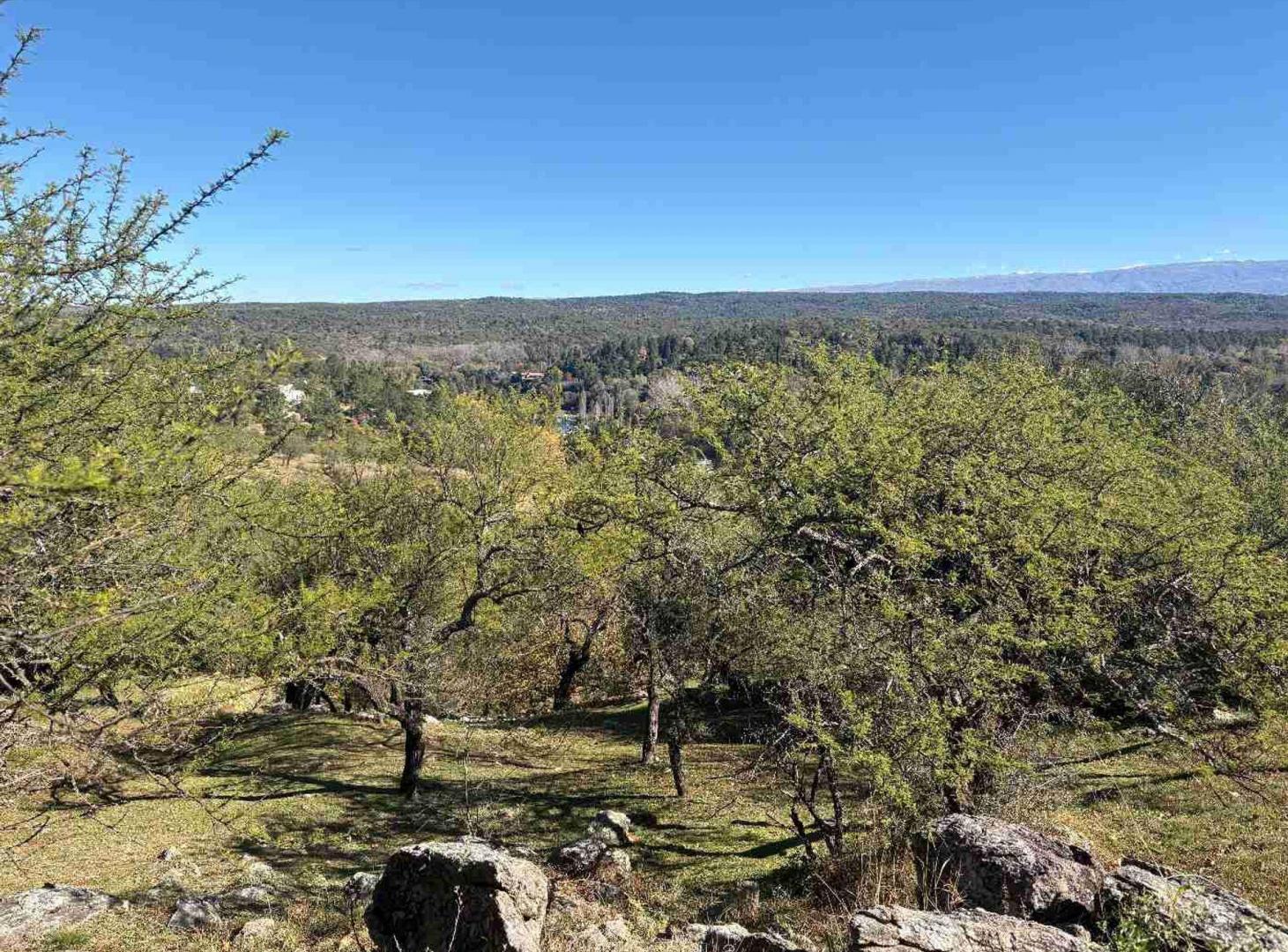 Foto de TERRENO EN VENTA EN POSTA CARRETA CLUB DE CAMPO, imagen 4
