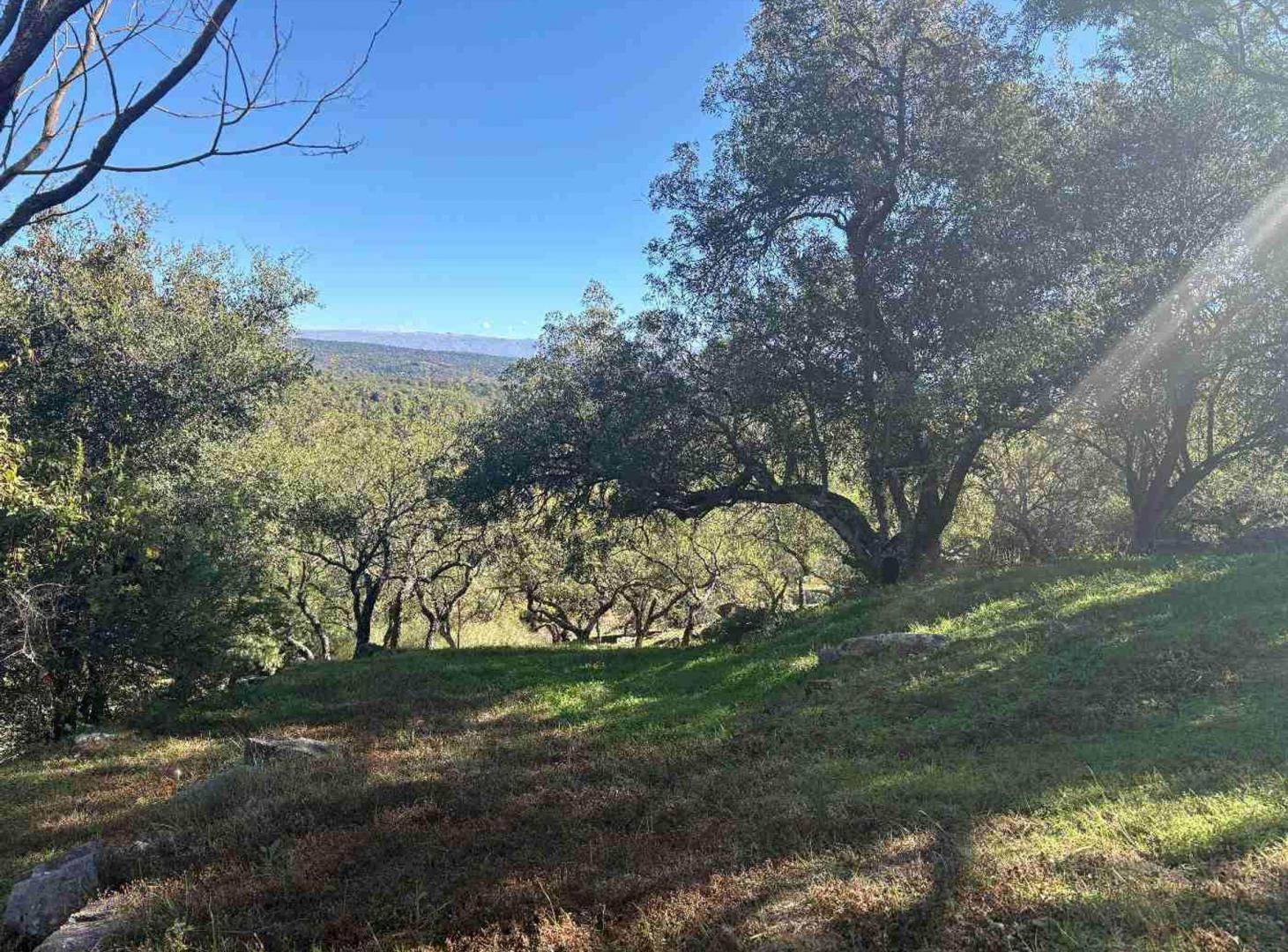 Foto de TERRENO EN VENTA EN POSTA CARRETA CLUB DE CAMPO, imagen 5