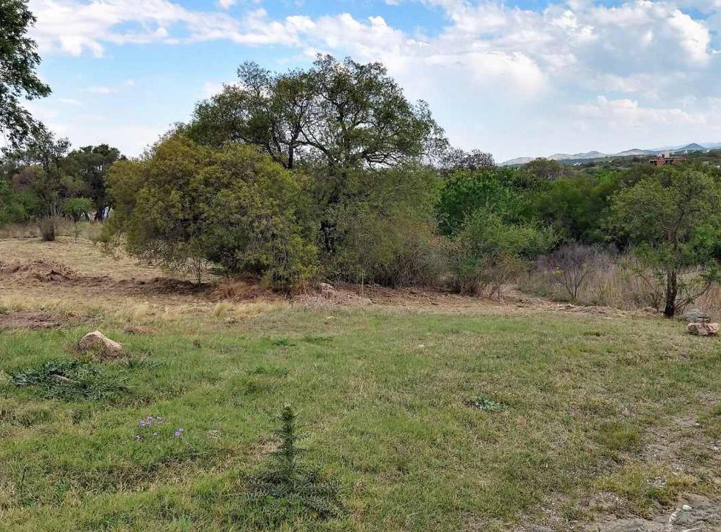 Foto de VENTA LOTE TIERRALTA 1543M2 ZONA CONSOLIDADA, imagen 2