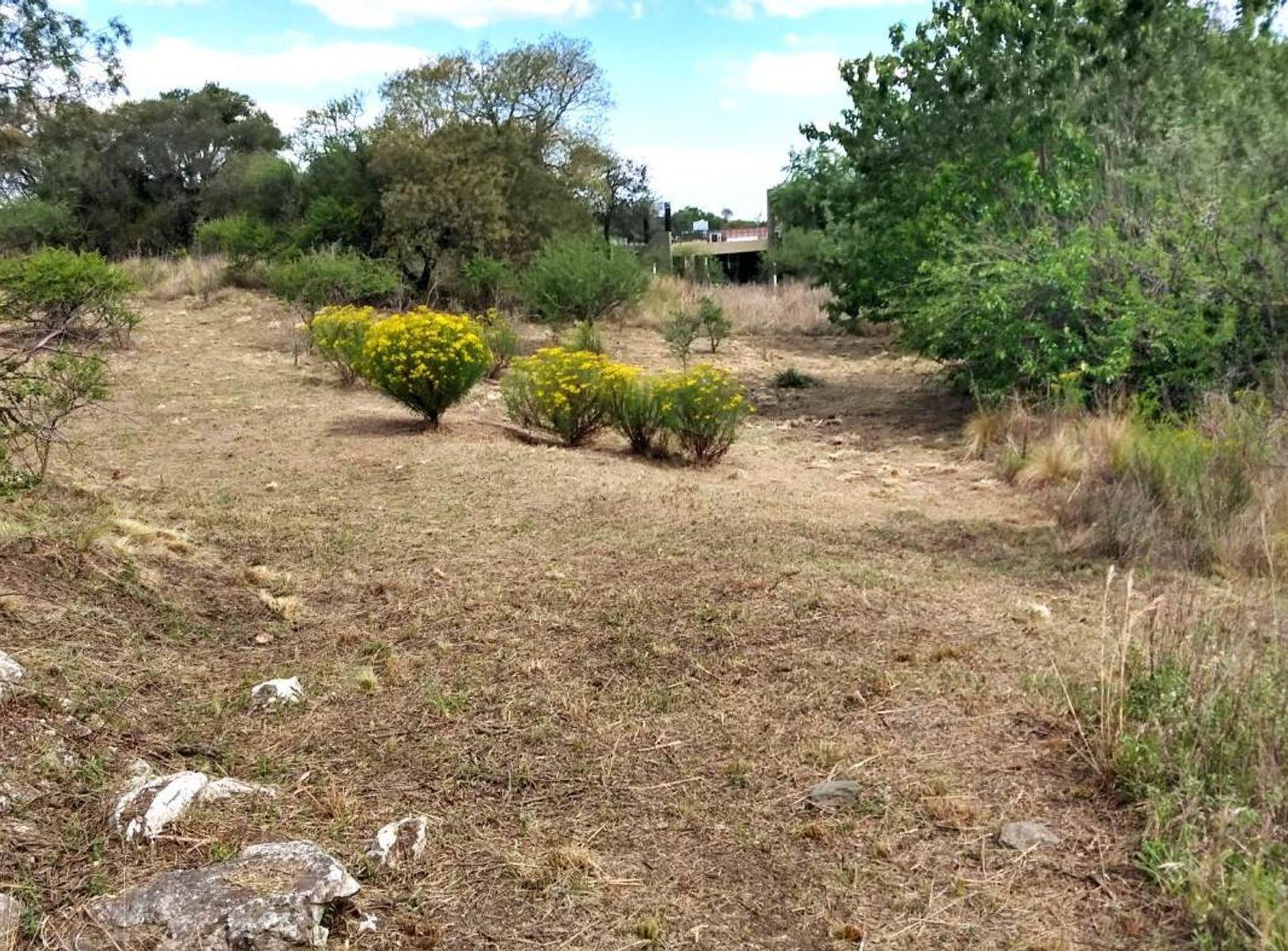 Foto de VENTA LOTE TIERRALTA 1543M2 ZONA CONSOLIDADA, imagen 4