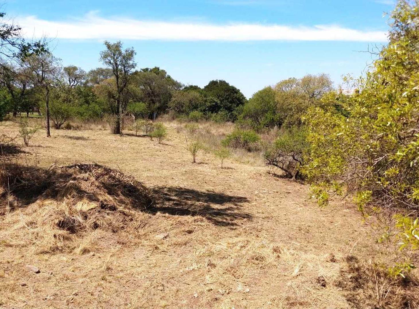 Foto de VENTA LOTE TIERRALTA 1543M2 ZONA CONSOLIDADA, imagen 3