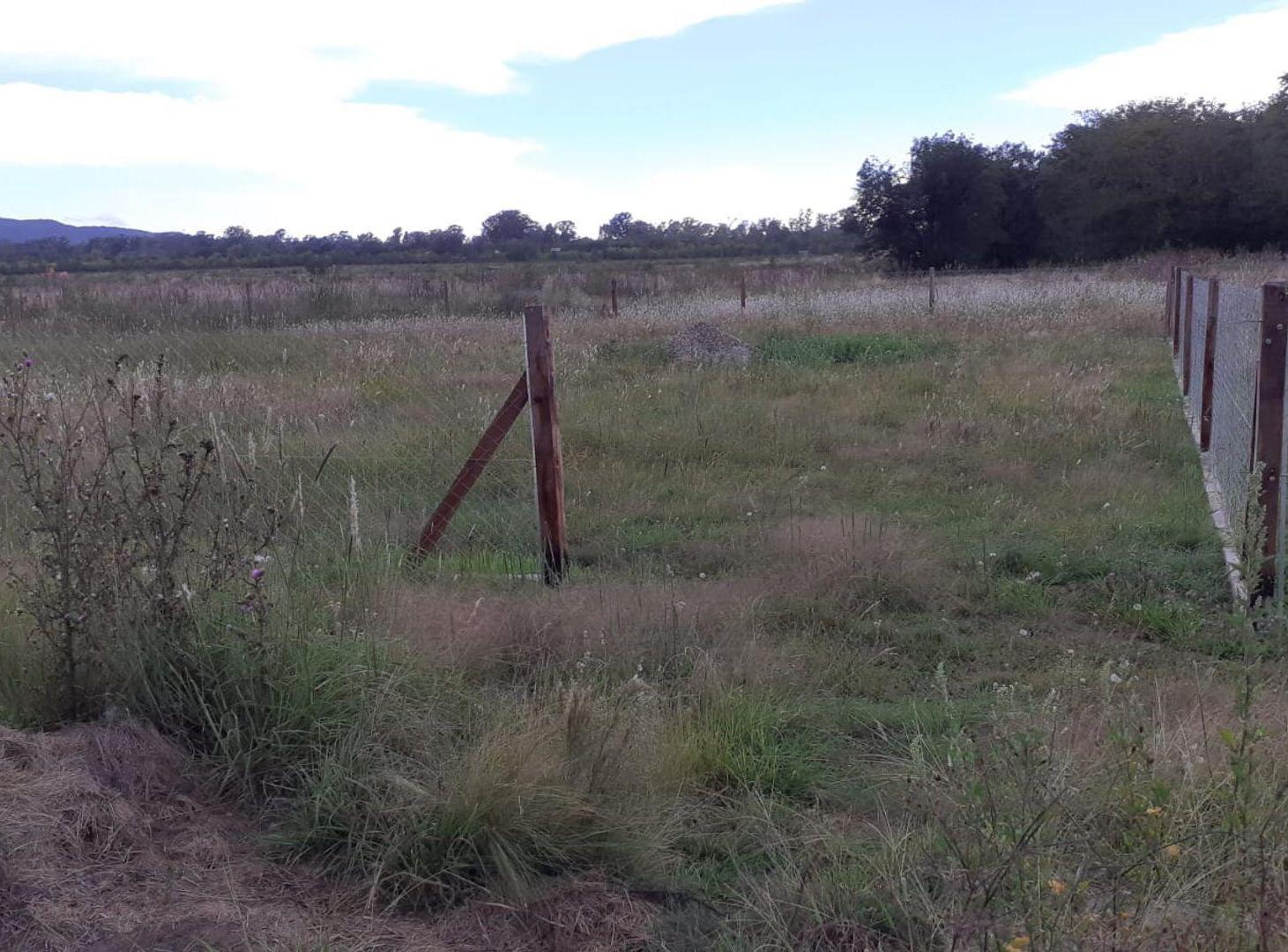 Foto de VENTA LOTE 825M2 EL CEDRÓN LOS REARTES, imagen 2