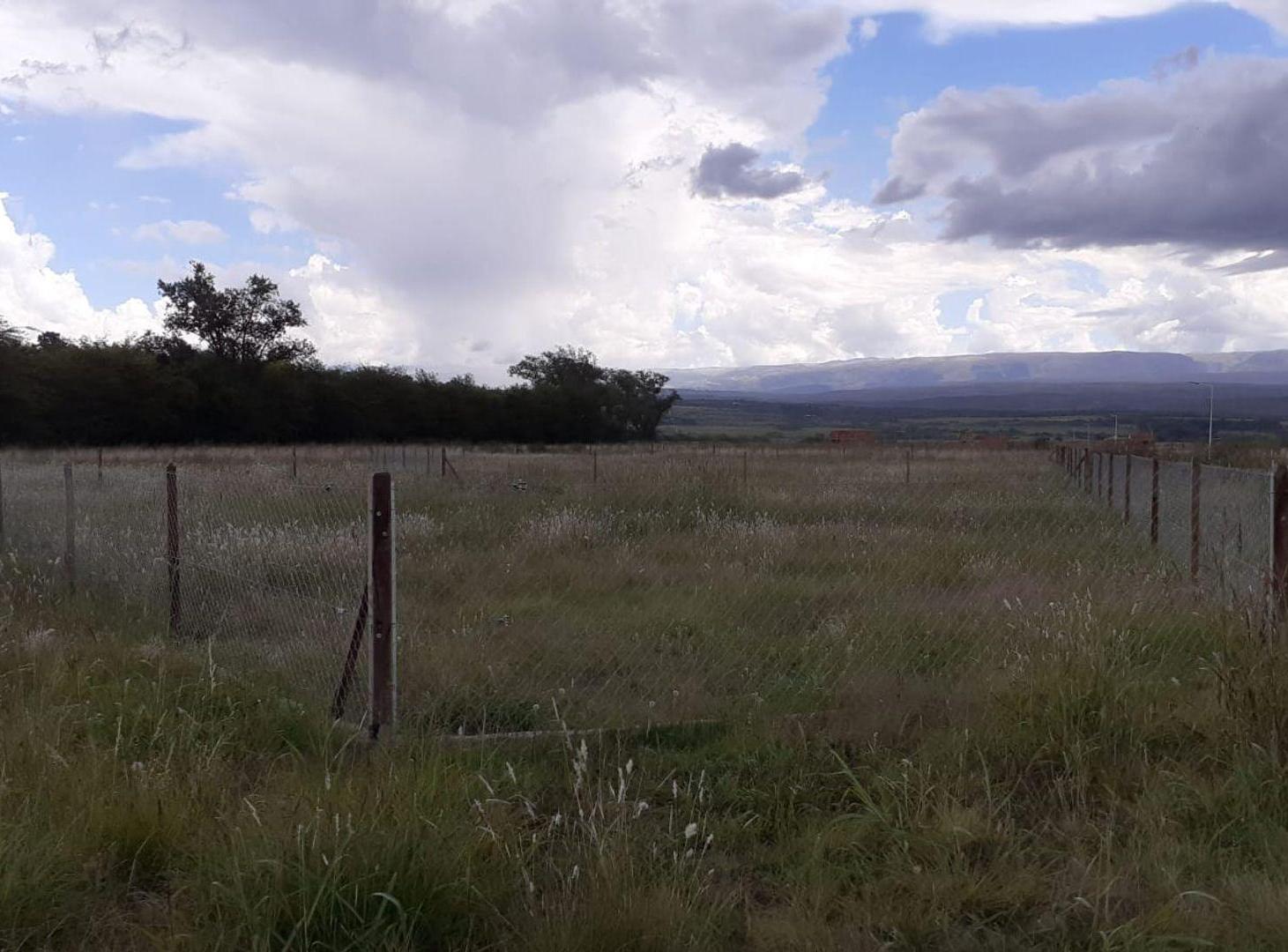 Foto de VENTA LOTE 825M2 EL CEDRÓN LOS REARTES, imagen 4
