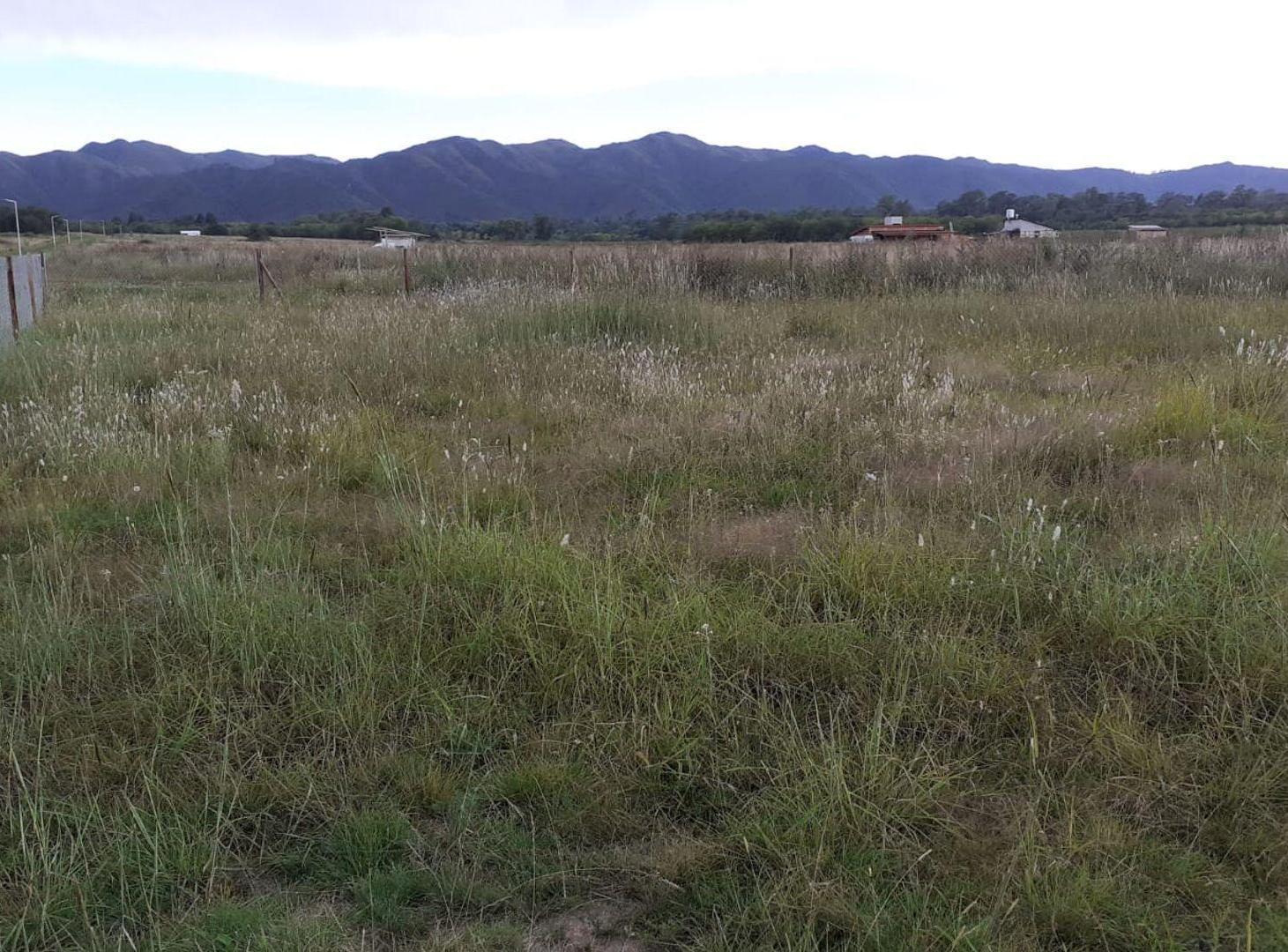 Foto de VENTA LOTE 825M2 EL CEDRÓN LOS REARTES, imagen 1