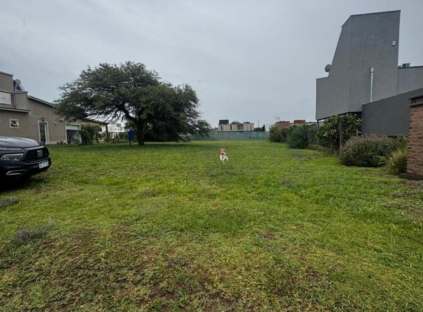 Foto de VENTA LOTE 805MTS VALLE DEL GOLF, imagen 5