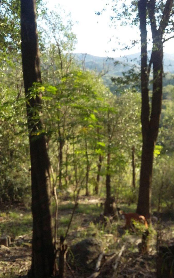 Foto de VENTA LOTE 691M2 LA LUCINDA CNO CUAD RIO CEBALLOS, imagen 3