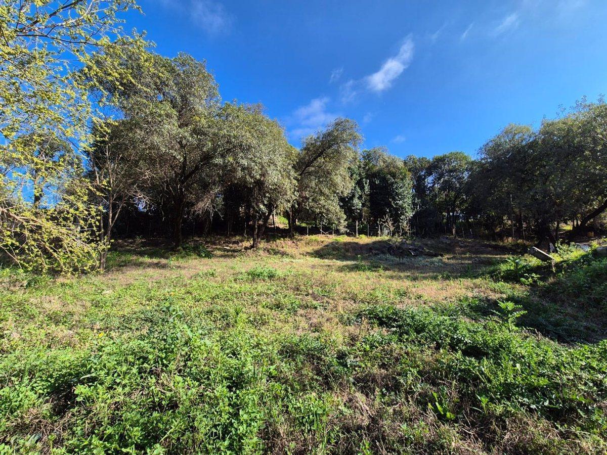 Foto de VENTA LOTE 1056M2 ZONA CASTILLO MONSERRAT UNQUILLO, imagen 5