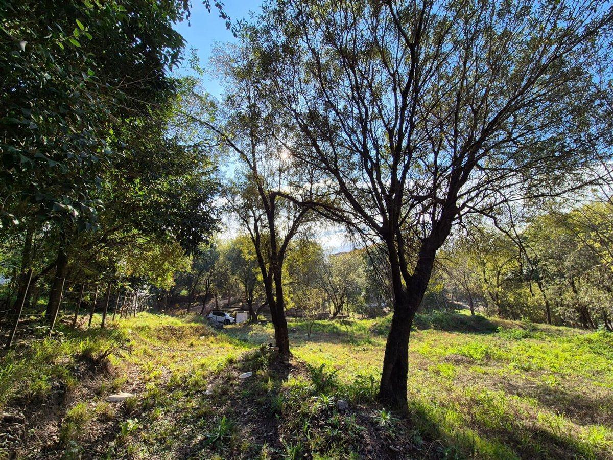 Foto de VENTA LOTE 1056M2 ZONA CASTILLO MONSERRAT UNQUILLO, imagen 3