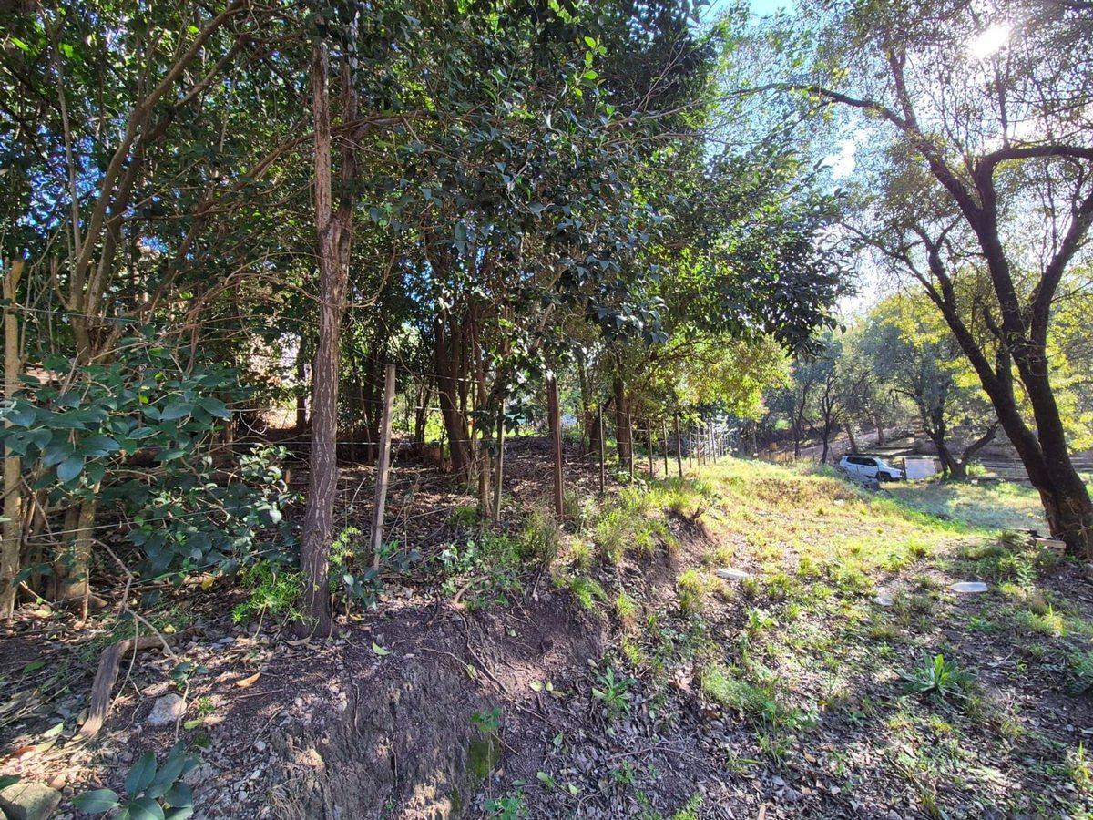 Foto de VENTA LOTE 1056M2 ZONA CASTILLO MONSERRAT UNQUILLO, imagen 4