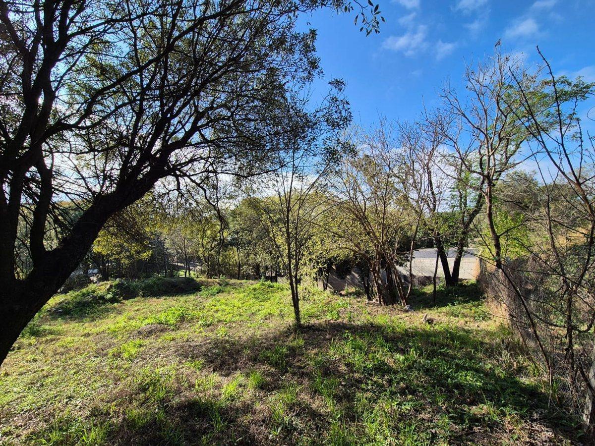 Foto de VENTA LOTE 1056M2 ZONA CASTILLO MONSERRAT UNQUILLO, imagen 1